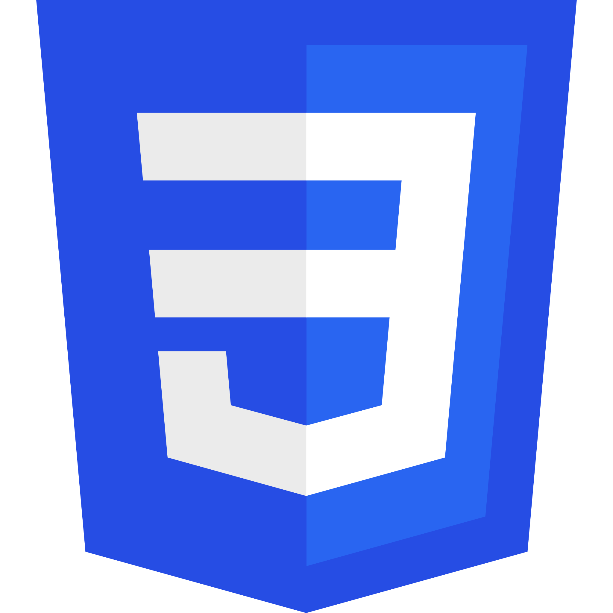 Css Logo